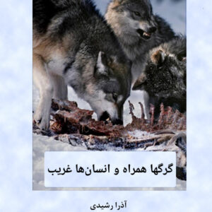 قضيه توپ مرواري