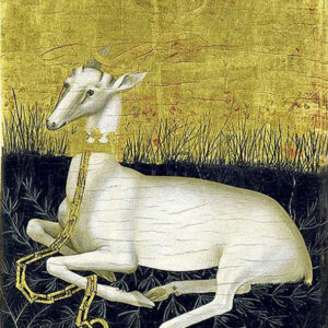 تصنیف یک عشق